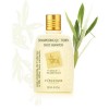 L'Occitane Olive Tree Daily Shampoo