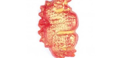 Lush Red Dragon Soap