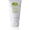 Origins Out Smart™ Daily SPF 25 naturally protective sunscreen
