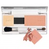 Avon mark Snap To It Mezzo Custom Color Palette