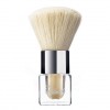 Avon mark Celebrate Shimmer Powder Brush