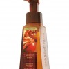 Bath & Body Works Caramel Apple Anti-Bacterial Gentle Foaming Hand Soap