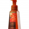 Bath & Body Works Sweet Cinnamon Pumpkin Anti-Bacterial Gentle Foaming Hand Soap.