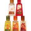 Bath & Body Works Fall Treats Bundle Anti-Bacterial PocketBac® Sanitizing Hand Gel 5-Pack