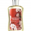 Bath & Body Works Japanese Cherry Blossom Signature Collection Shower Gel