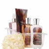 Bath & Body Works Twilight Woods™ Signature Collection Splish Splash Gift Set