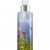 Bath & Body Works Country Chic™ Signature Collection Shimmer Body Mist