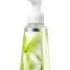 Bath & Body Works White Citrus Anti-Bacterial Gentle Foaming Hand Soap