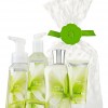 Bath & Body Works White Citrus Anti-Bacterial Anti-Bac Power Bundle