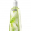 Bath & Body Works White Citrus Anti-Bacterial Deep Cleansing Hand Soap