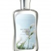 Bath & Body Works Sea Island Cotton® Signature Collection Shower Gel
