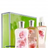 Bath & Body Works Cherry Blossom Signature Collection Medium Signature Gift Box