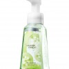 Bath & Body Works Cucumber Melon® Anti-Bacterial Gentle Foaming Hand Soap