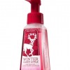 Bath & Body Works Winter Candy Apple Anti-Bacterial Gentle Foaming Hand Soap