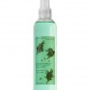 Bath & Body Works Juniper Breeze® Signature Collection CLASSICS Body Splash