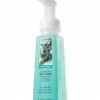 Bath & Body Works Juniper Breeze® Anti-Bacterial CLASSICS Gentle Foaming Hand Soap