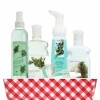 Bath & Body Works Juniper Breeze® Signature Collection CLASSICS Fragrance Tray
