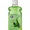 Bath & Body Works Green Clover and Aloe Signature Collection CLASSICS Shower Gel