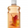 Bath & Body Works Pearberry Signature Collection CLASSICS Shower Gel