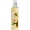 Bath & Body Works White Tea & Ginger Signature Collection CLASSICS Body Splash