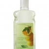 Bath & Body Works Cool Citrus Basil® Signature Collection CLASSICS Shower Gel
