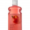 Bath & Body Works Country Apple Signature Collection CLASSICS Shower Gel