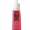 Bath & Body Works Country Apple Anti-Bacterial CLASSICS Gentle Foaming Soap