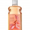 Bath & Body Works Plumeria Signature Collection CLASSICS Shower Gel