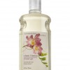 Bath & Body Works Sheer Freesia Signature Collection CLASSICS Shower Gel