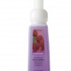 Bath & Body Works Sun-Ripened Raspberry Anti-Bacterial CLASSICS Gentle Foaming Soap