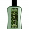 Bath & Body Works Citron Signature Collection for Men Body Wash
