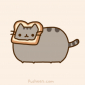 cake_n_cuddles profile photo